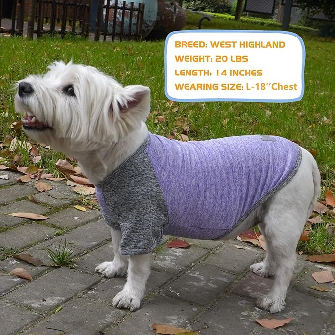 KYEESE 2 Pack Dog Shirts Quick Dry for Medium Dogs Breathable Lightweight Stretchy Dog T-Shirt with Reflective Label Raglan Sleeve Pet Clothes UV Protection, Purple+Grey, 2XL