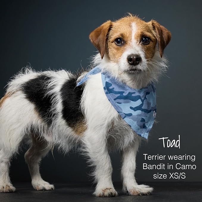 Multipack 100% Organic Cotton Pet Bandanas for Small, Medium and Large Dogs, Camo-Sand, X-Small/Small