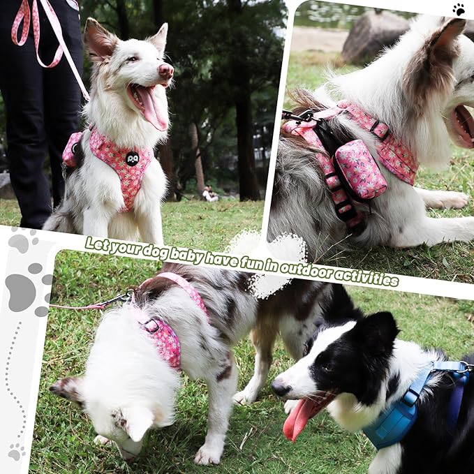 QQPETS Dog Harness Collar Leash with Poop Bag Holder 4 PCS Set, Adjustable No Pull Soft Mesh Padded Vest for Small Medium Large Pet Puppy Outdoor Walking (Daisy Pink, M (Chest 17”-24”))