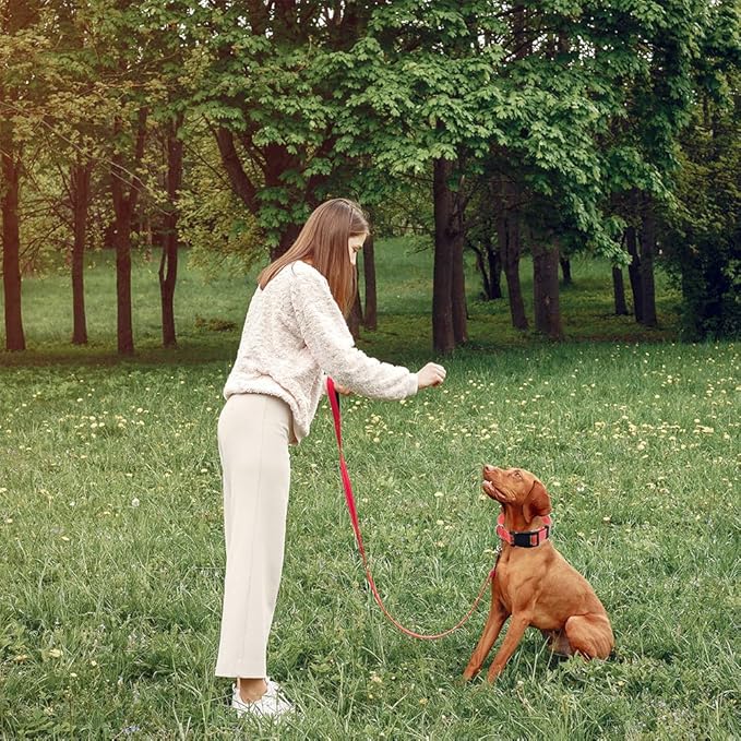 Reflective Dog Collar with Safety Locking Buckle, Adjustable Soft Breathable Nylon Collars for Small, Medium and Large Dogs(Collar+Leash XS Width 5/8" Red)