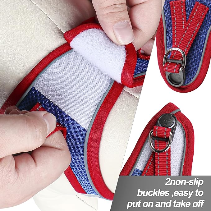 Dog Harness for Small Dogs and Leash Set, Honeycomb Grid, Reflective Lightweight Harness & Anti-Twist Pet Lead Multi Color, Size: XS-S-M. (M, Red & Blue)