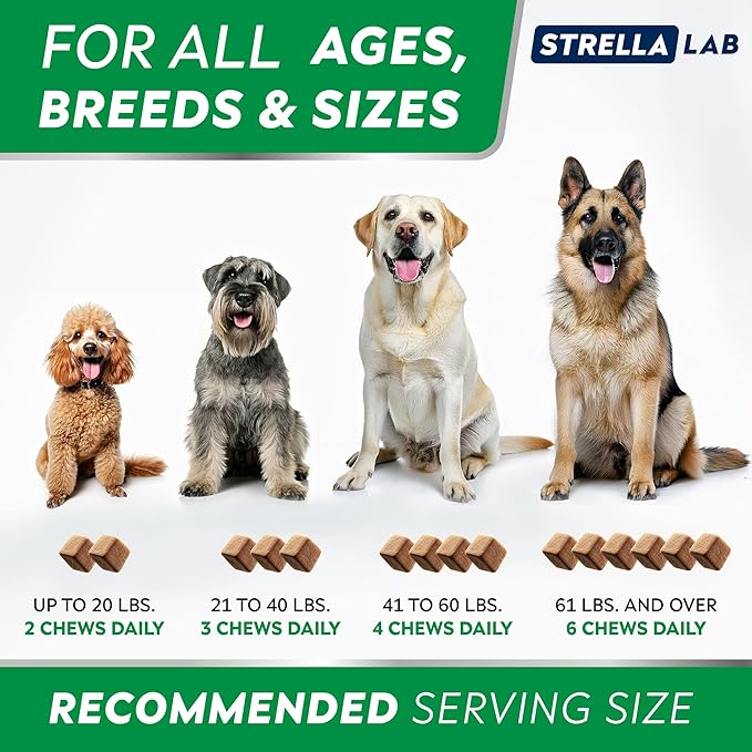 STRELLALAB Dog Allergy Relief & Anti Itch Support Chews w/Omega 3: Real Ingredients, Real Taste! Skin & Coat Immune Supplement w/Fish Oil, Pumpkin & Enzymes - Made in USA - 9.3 oz