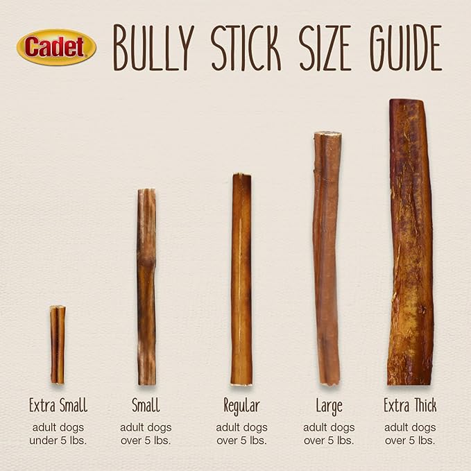 Cadet Bully Sticks for Small Dogs, All-Natural Beef Pizzle, Rawhide-Free Long-Lasting Dog Chews for Aggressive Chewers, 1 Count