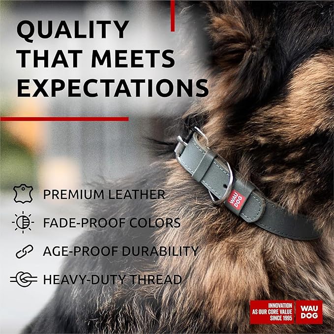 WAUDOG Long Lasting Leather Dog Collar for Large Dogs, Medium & Small Dogs - Adjustable Classic Puppy Collars for Large Breed Dogs - Boy & Girl Dog Collars with Durable Buckle, D-Ring & QR Dog Tag
