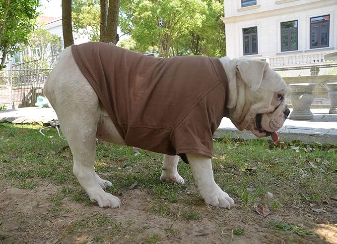 Lovelonglong Bulldog Clothes Dog Clothing Blank T-Shirt Tee Shirts for French Bulldog English Bulldog American Pit Bull Pugs 100% Cotton Skin Care Coffee B-M