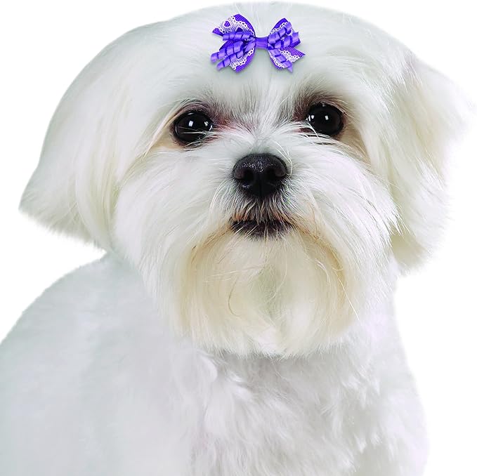 Aria Gracie Bows for Dogs, 48-Piece Canisters