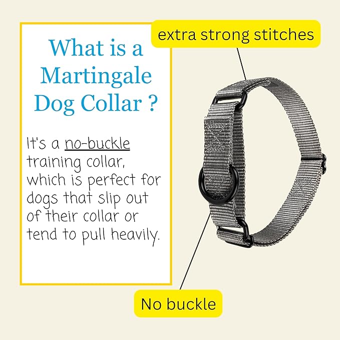 Country Brook Petz Martingale Dog Collar - Heavy-Duty Training Collar with No Buckle - Service Dog Collar for All Pups - Vibrant, Colorful Collection (Charcoal, 3/4 Inch, Small)