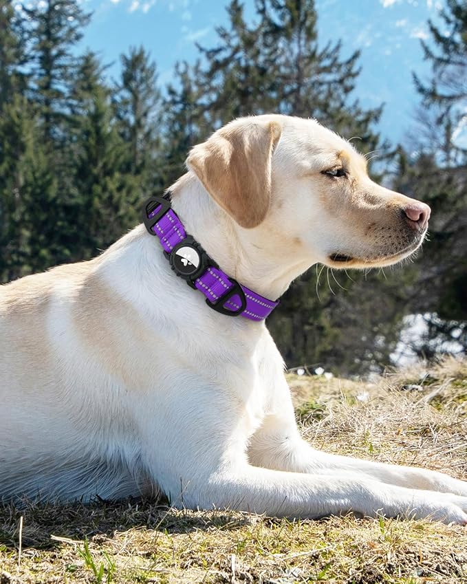 Joytale Airtag Dog Collar, Dual D-Rings, Reflective Pet Collar with Waterproof AirTag Holder, Soft Padded Adjustable for Medium Dogs, Purple, M