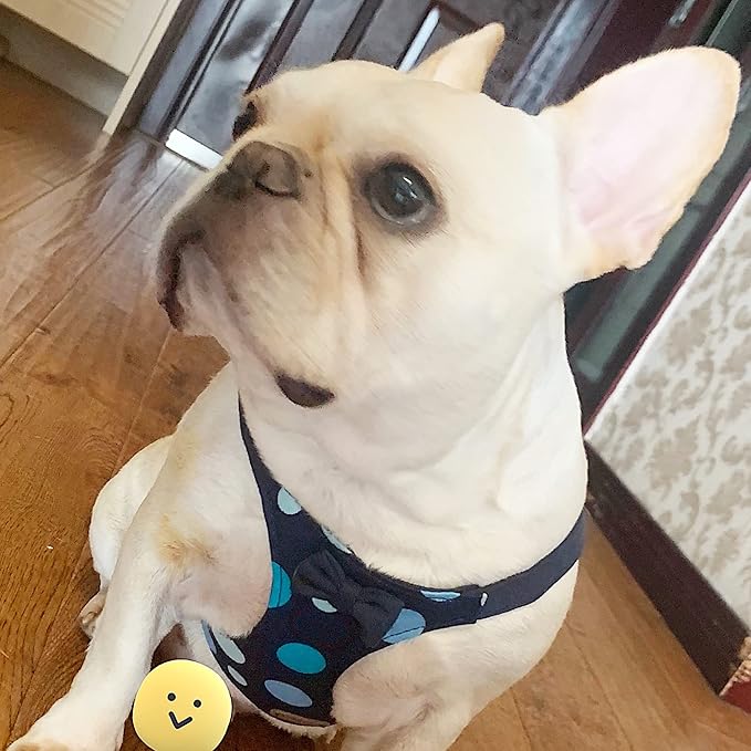 Puppytie No Pull Dog Harness with Multifunction Dog Leash,Soft Adjustable No Choke Escape Proof Pet Harness Vest for Medium Dogs,Polka dots Starry Sky,M