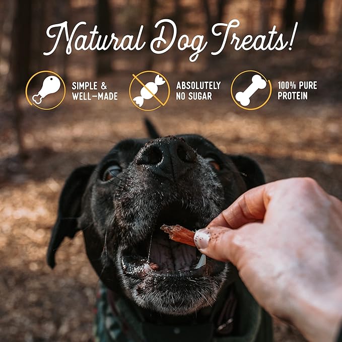 Beg & Barker Chicken, Beef Liver and Pork Jerky for Dogs (10 oz, Pack of 3) - Dog Training Treats - Natural Dog Treats Made in The USA - Grain Free, Diabetic-Friendly, High Protein, Sugar-Free