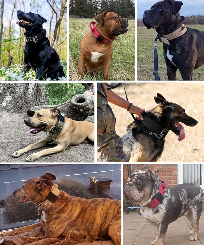 Large Dog Collar Heavy Duty - 2 inch Wide with Handle for Extra Large Breed Dogs, 1/3" Thick Nylon Chew Proof Tactical Collar, Good Choice for German Shepherd,Pitbull,Rottweiler 22"-27"