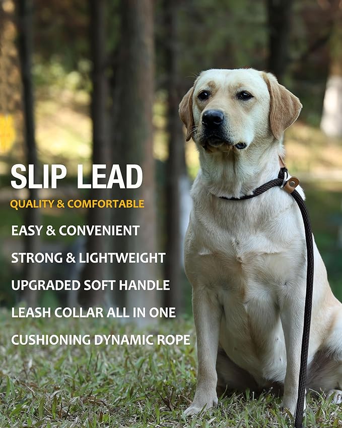 lynxking 6 FT Dog Leash Slip Lead 2 Pack Strong Heavy Duty Braided Dog Training Leash No Pull Training Lead Leashes for Medium Large and Small Dogs