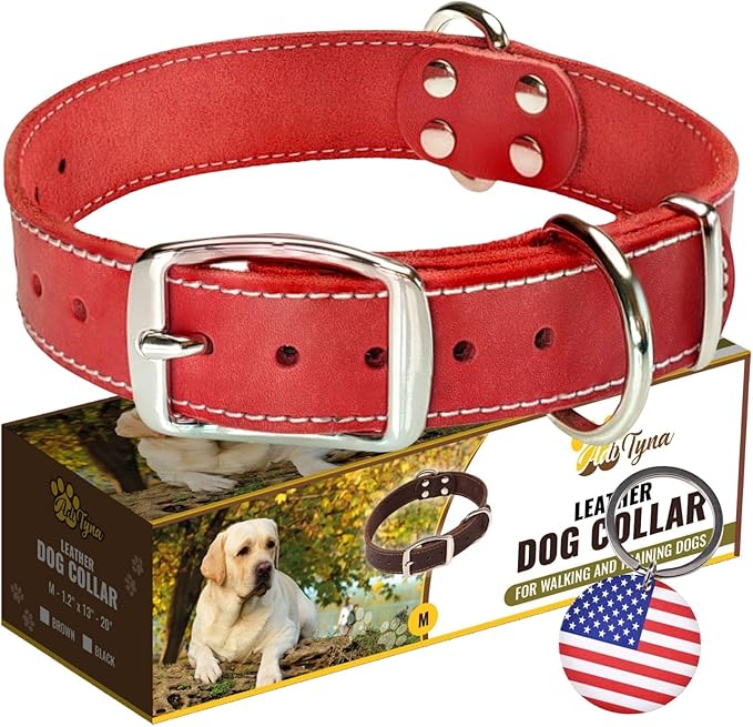 ADITYNA Heavy Duty Leather Dog Collar - Soft and Strong Red Dog Collar for Medium Breeds (Medium: Fit 13" - 20" Neck, Red)