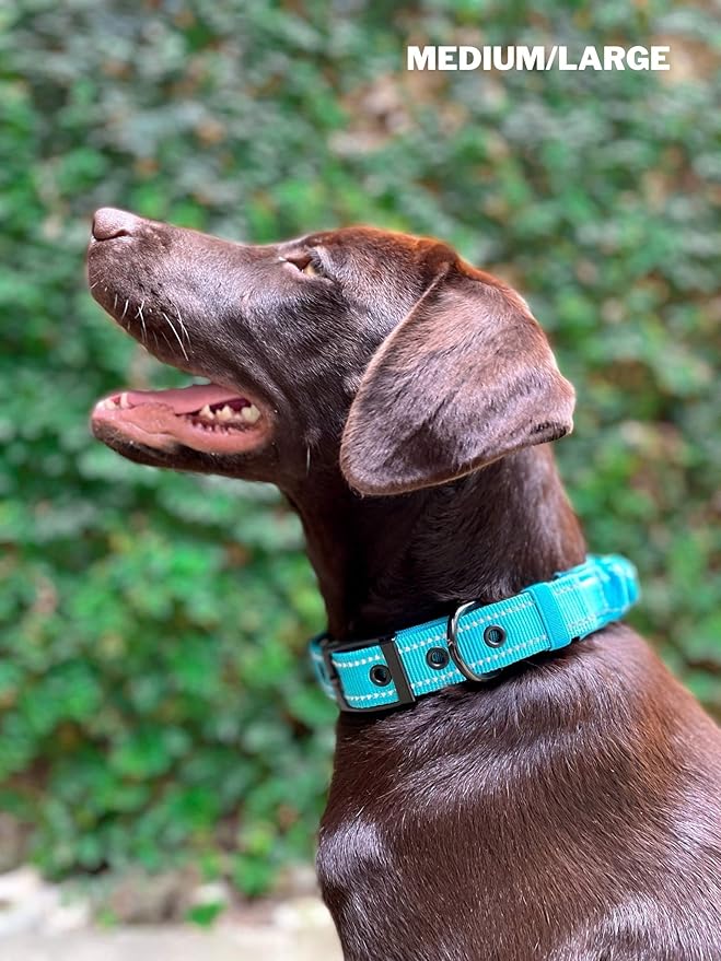Tuff Pupper Heavy Duty Dog Collar with Handle | Ballistic Nylon Heavy Duty Collar | Padded Reflective Dog Collar with Adjustable Stainless Steel Hardware | Convenient Sizing for All Breeds