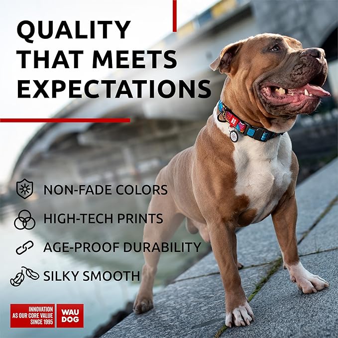 WAUDOG Nylon Dog Collar - Adjustable Dog Collar for Large Dogs, Small & Medium Dogs - Breakaway Puppy Collars for Large Breed Dogs - Boy & Girl Dog Collars with Durable Plastic Buckle and QR Dog Tag