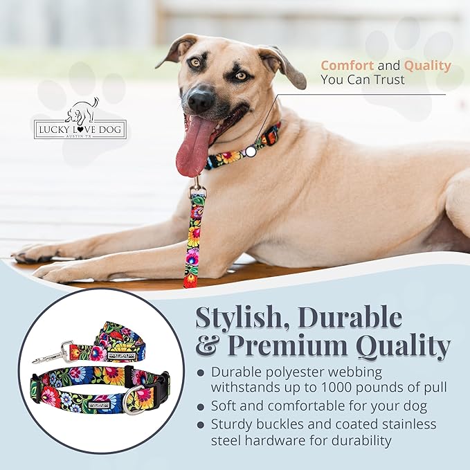 Lucky Love Dog - Easy Click Buckle Dog Collar with Leash Set Combo, Durable & Comfortable for Male & Female Dogs, Pet Collar for Small to Large Dogs, Secure Fit - Blackbird Combo, Medium