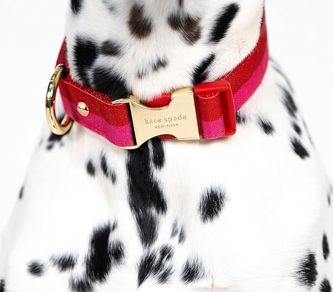Kate Spade New York Cute Dog Collar with Gold Metal Buckle, 15.5" to 24" Adjustable Collar for Female or Male Dogs, Medium and Large Breeds (Red and Pink)