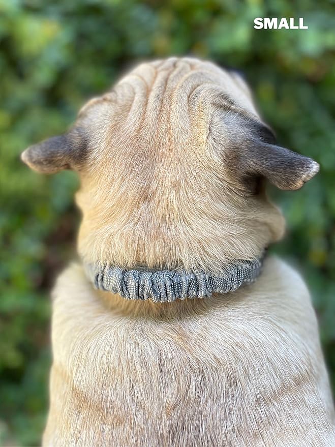 Heavy Duty Dog Collar with Handle | Ballistic Nylon Heavy Duty Collar | Padded Reflective Dog Collar with Adjustable Stainless Steel Hardware | Convenient Sizing for All Breeds