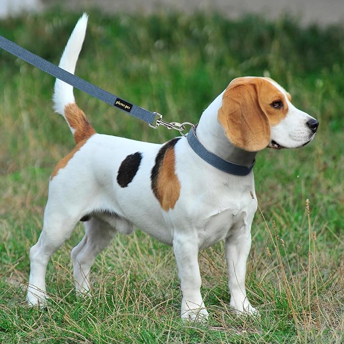 Plutus Pet Cotton Hemp Dog Collar and Leash Set, Adjustable Collar for Small, Medium, and Large Dogs, Heavy Duty and Soft on Skin, Haze Blue, M