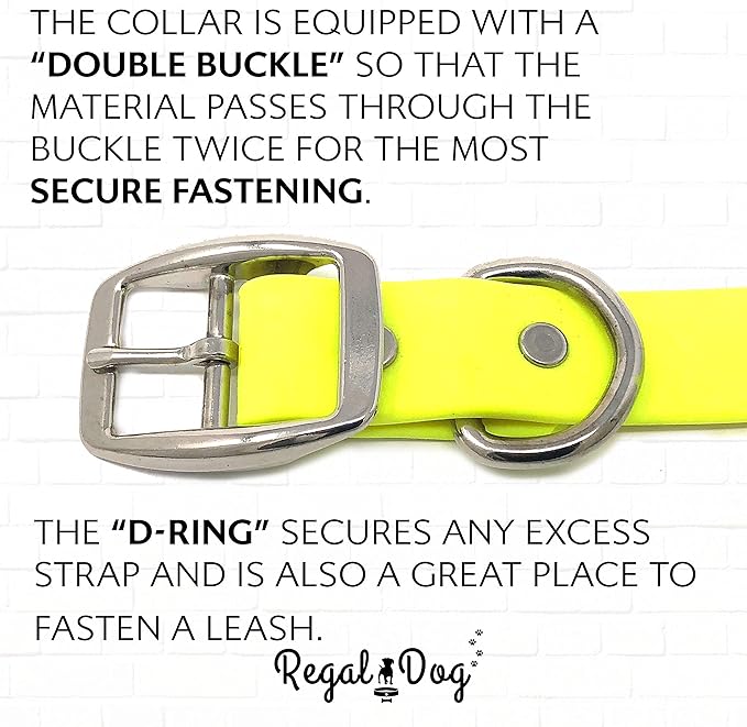 Regal Dog Products Small Yellow Waterproof Dog Collar and Leash Set | Heavy Duty Double Buckle & D Ring - 5'ft Leash | Adjustable Biothane Dog Collar | Chew Resistant Waterproof Collar for Dogs