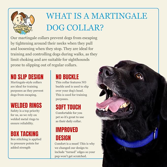 Country Brook Petz Martingale Dog Collar - Heavy-Duty Training Collar with No Buckle - Service Dog Collar for All Pups - Vibrant, Colorful Collection (Royal Blue, 3/4 Inch, Small)