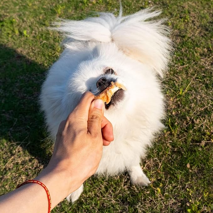 MON2SUN Dog Treats, 2.3 Inch Chicken Wrapped Calcium Bones, Rawhide Free Chews for Puppy and Small Dogs, Training Treats for Teeth Cleaning and Fresh Breath (28 Count - Pack of 5)