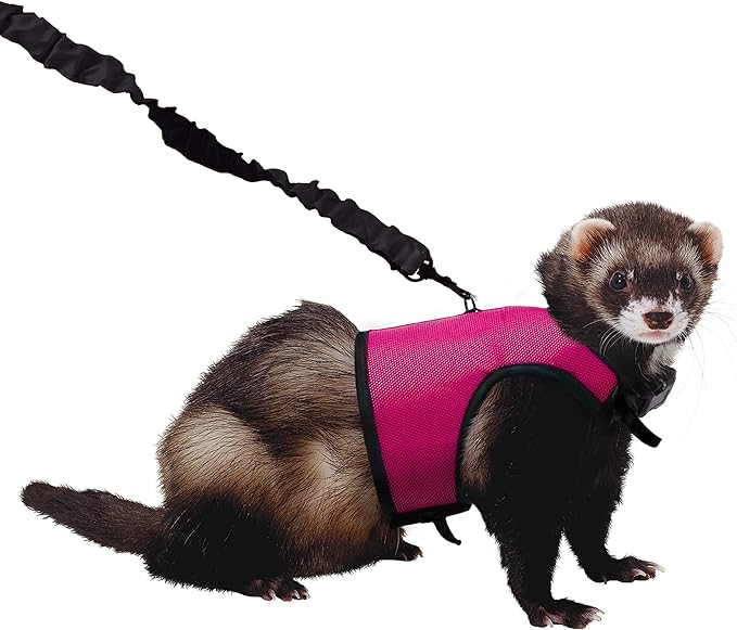 Kaytee Comfort Harness & Stretchy Leash, Medium (Pack of 3)