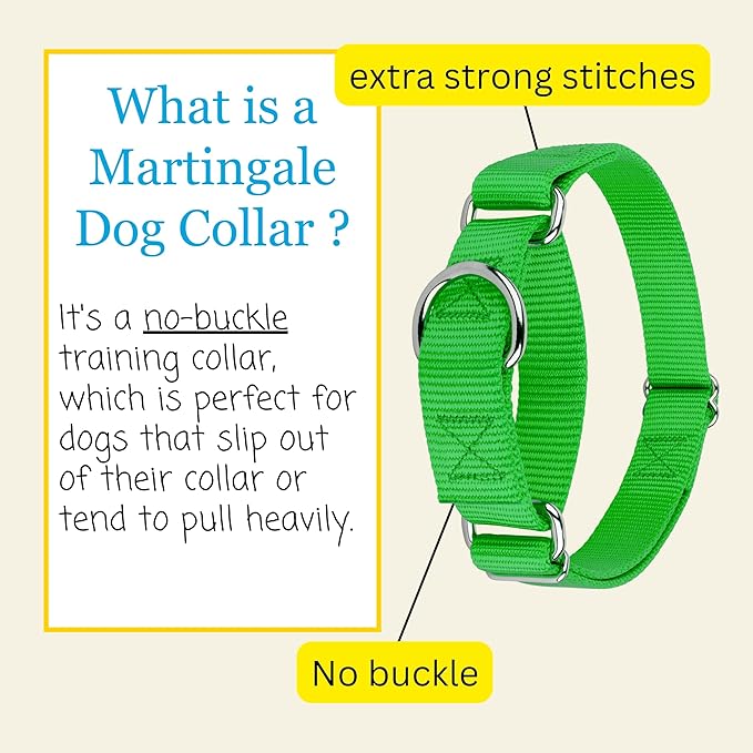 Country Brook Petz Martingale Dog Collar - Heavy-Duty Training Collar with No Buckle - Service Dog Collar for All Pups - Vibrant, Colorful Collection (Hot Green, 1 Inch, Extra Large)