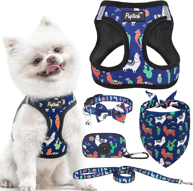 PUPTECK Adjustable Dog Harness Collar and Leash Set, Step in No Pull Pet Harness for Small Medium Dogs Puppy Cats Outdoor Walking, Soft Mesh Padded Reflective Vest Harnesses, Navy Blue Alpaca, S