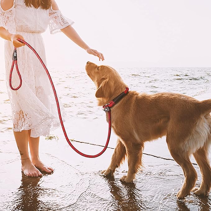 TwoEar Dog Slip Rope Leash - 1/2" x 6FT Heavy Duty Reflective Dog Training Leash for Small to Large Dogs (Red)
