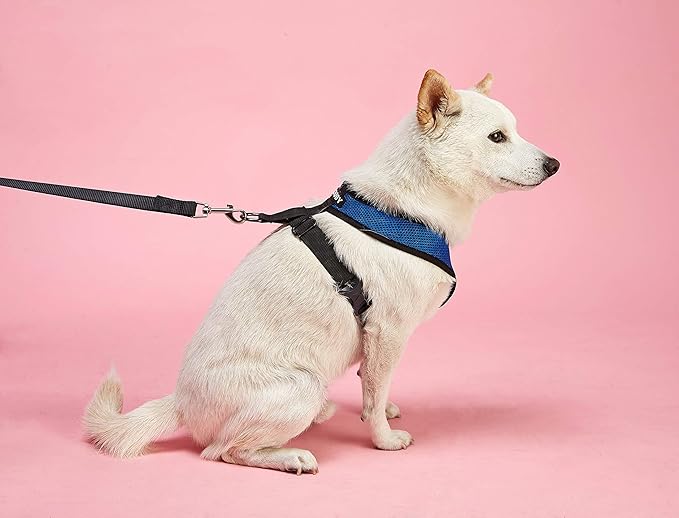 Gooby Comfort X Head-in Harness – Small Dog Harness for Toy Breeds (5–9 lbs), Pink, Small