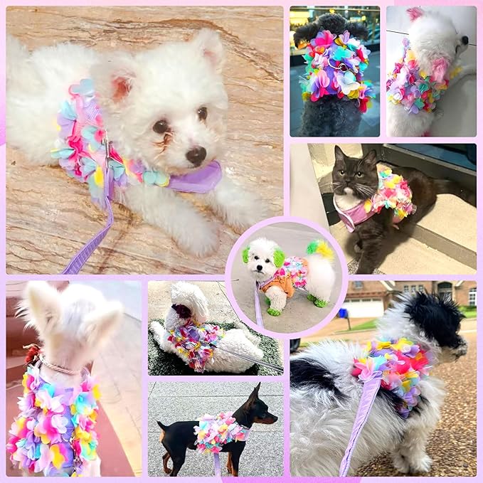 Cute Dog & Cat Harness Set - Purple Lace Floral Girl Puppy Harness - Soft Mesh, Escape Proof, Small Sizes