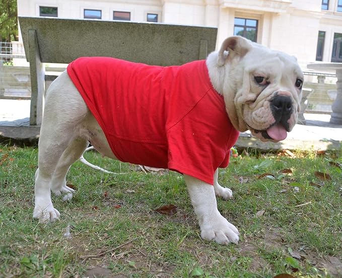 Lovelonglong Bulldog Clothes Dog Clothing Blank T-Shirt Tee Shirts for French Bulldog English Bulldog American Pit Bull Pugs 100% Cotton Skin Care Red B-L