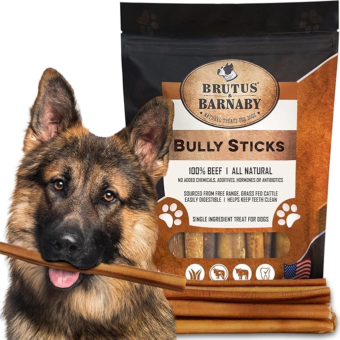 BRUTUS & BARNABY Thick Bully Sticks for Dogs – Odor Free Chews for Large, Medium & Small Breeds – Grain-Free, Rawhide-Free, Digestible Dog Treats – Grass-Fed Beef Chews for Aggressive Chewers