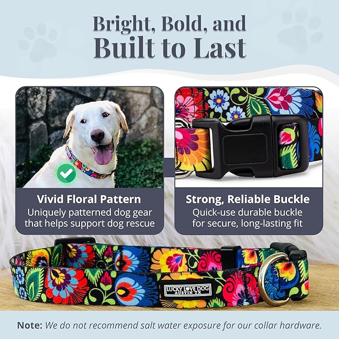 Lucky Love Dog - Adjustable Dog Collar with Easy Click Buckle for Small to Large Ones, Durable, & Comfortable for Male & Female Dogs, Pet Collar for Puppies & Adult Dogs - Blackbird, Medium