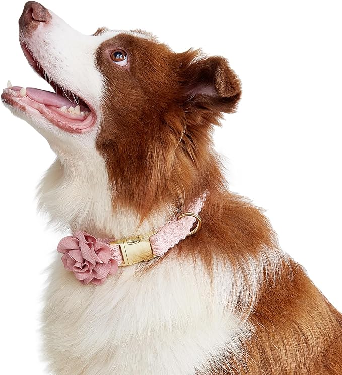 Pink Dog Collar Cotton Lace Handmade Embroidered Adjustable Dog Collar and Leash Set for Large Dogs with Rose Gold Metal Buckle & Fashion Flowers for Girl Dog Wedding Collar (Pink,L)