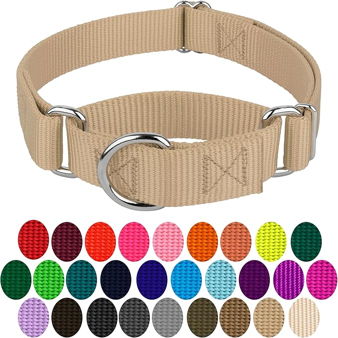 Country Brook Petz Martingale Dog Collar - Heavy-Duty Training Collar with No Buckle - Service Dog Collar for All Pups - Vibrant, Colorful Collection (Copper Gold, 3/8 Inch, 2XS)