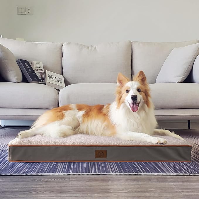 XXL Dog Bed Extra Large Waterproof Big Orthopedic Dog Beds with Removable Washable Cover for Large Dogs, Pet Bed Mat Egg-Crate Foam, XXL(44"X32"X3"), Light Grey