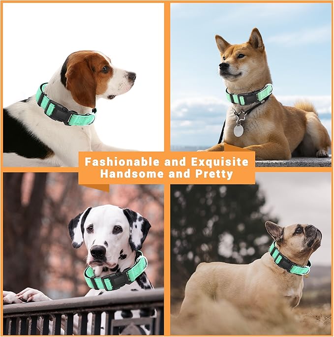 2 Pack Reflective Dog Collar with Safety Locking Buckle, Adjustable Soft Breathable Comfortable Nylon Pet Collar for Small, Medium and Large Dogs, Turquoise, XS