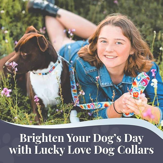 Lucky Love Dog - Adjustable Dog Collar with Easy Click Buckle for Small to Large Ones, Durable, & Comfortable for Male & Female Dogs, Pet Collar for Puppies & Adult Dogs - Ladybird, Medium