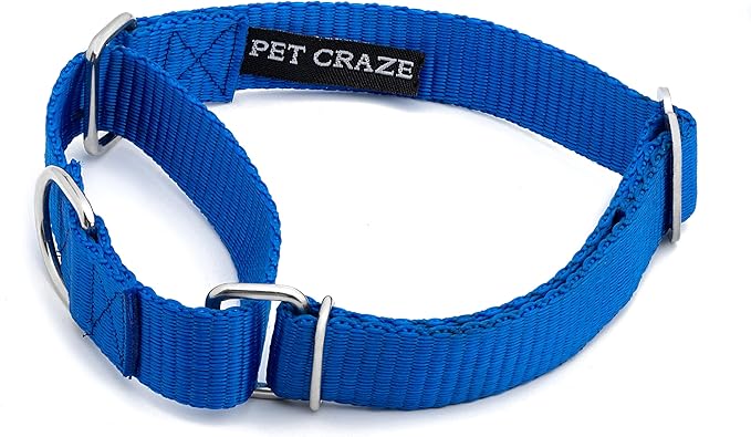 Martingale Dog Collar - Heavyduty Nylon Dog Collar with No Buckle Dog Training Collars for Medium Dogs (Blue, XL)