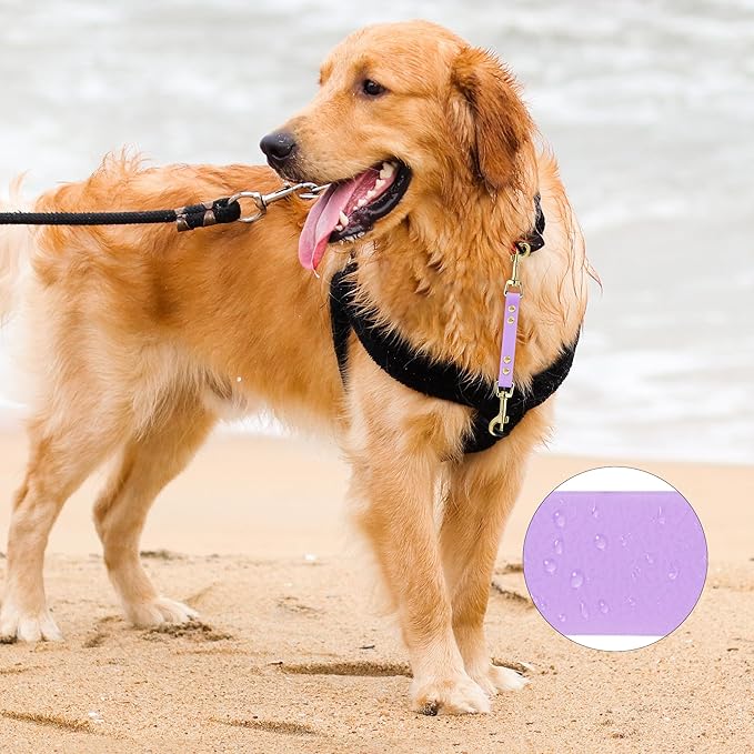 PetBonus Dog Collar Safety Clip, Waterproof Backup Safety Strap for Dog Harness to Prong Collar, Odor Proof Double Ended Clasp Leash Connector for Training Walking (Purple)
