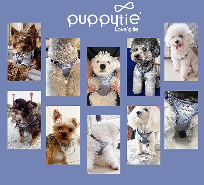 Puppytie No Pull xs Dog Harness with Multifunction Dog Leash,Soft Adjustable No Choke Escape Proof Pet Harness Vest,Glossy Galaxy Blue,XXS