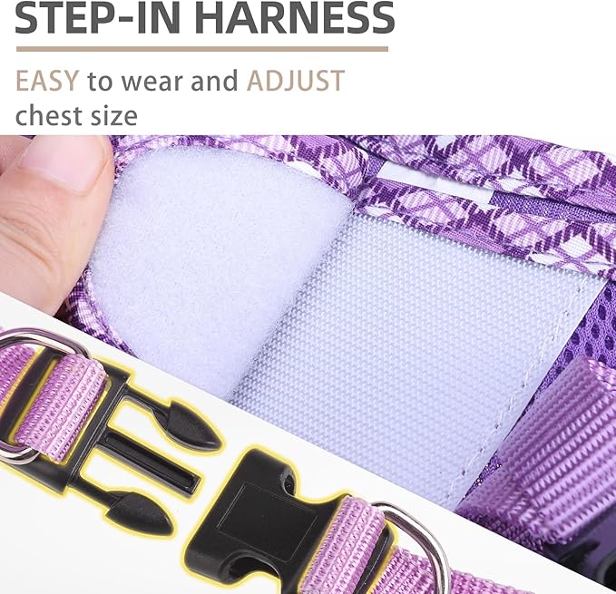 PUPTECK Dog Harness and Leash Set for Small Medium Dogs No Pull Step-in Soft Mesh Puppy Cat Vest Harnesses Reflective at Night, Upgraded New Purple L