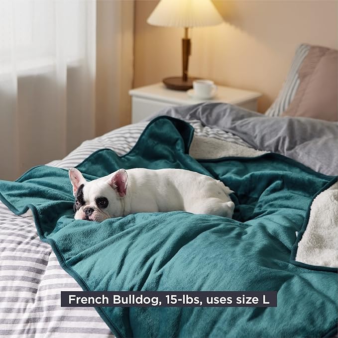 Bedsure Cat Blanket for Indoor Cats - Waterproof Calming Cat Blankets for Couch Protection, Sherpa Fleece Pet Blanket, Soft Plush Reversible Throw Furniture Protector, 50"x40", Green