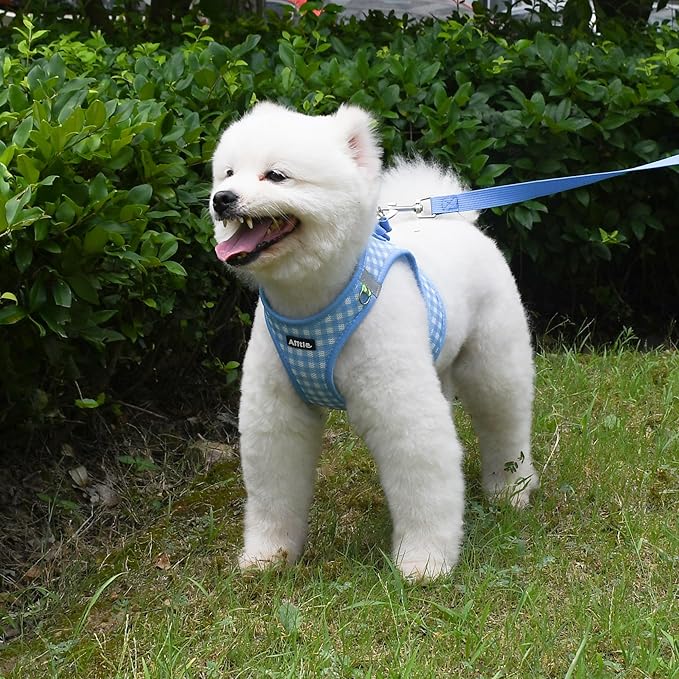 AIITLE Adjustable Dog Harness and Leash Set, Step in No Pull Pet Harness, Soft Mesh Reflective Plaid Vest Harnesses for Small Dogs Puppy and House Cats Outdoor Walking Running Blue XS