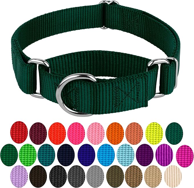 Country Brook Petz Martingale Dog Collar - Heavy-Duty Training Collar with No Buckle - Service Dog Collar for All Pups - Vibrant, Colorful Collection (Green, 1 Inch, Medium)