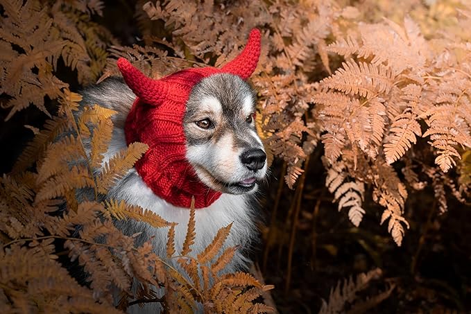 Zoo Snoods Red Devil Costume - Warm Knit Dog Snood Wrap for Pets, Neck Ear Cover Protection, Halloween Winter (Small)