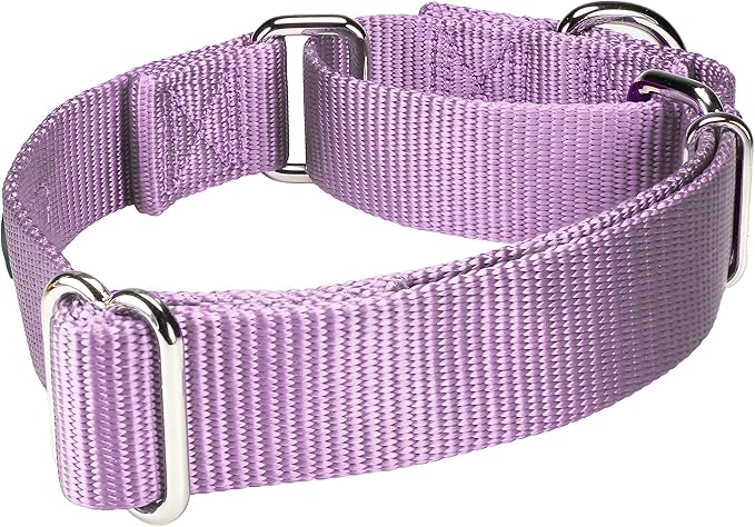 Mikivery Martingale Dog Collar Nylon Adjustable and Safety Training Metal Buckle Dogs Collars for Small Medium and Large Breed(Violet,L)