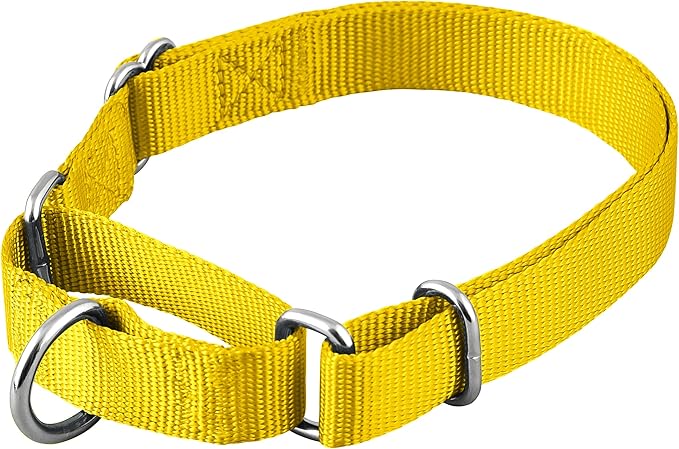Native Pup Martingale Dog Collar, Adjustable for Small, Medium, Large pet and Puppies Accessories, Cute Colors for Male, Female, Boy, Girl, Puppy (Medium, Bright Yellow)